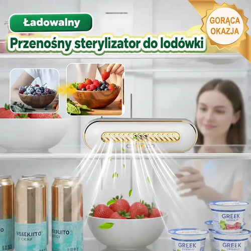 Przenośny sterylizator do lodówki z akumulatorem